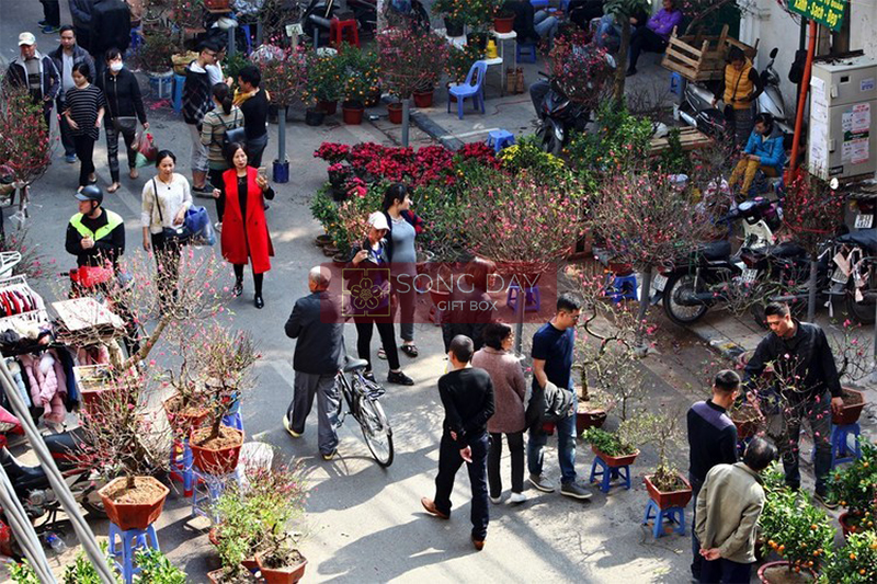 Những Lễ Vật, Quà Tết Cổ Truyền Việt Nam Tồn Tại Hàng Trăm Năm